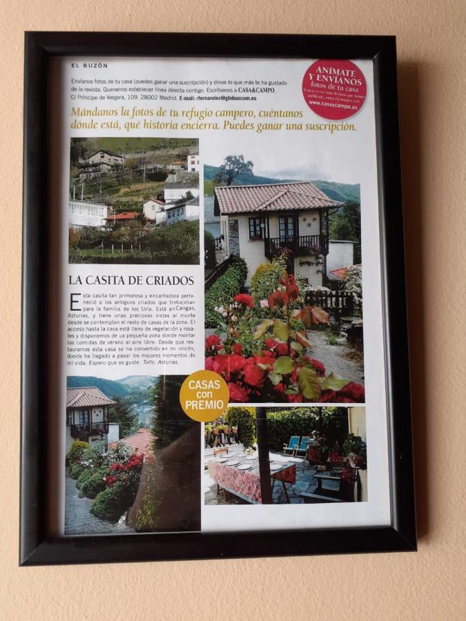 La Casina De Santulaya Βίλα Cangas De Narcea Εξωτερικό φωτογραφία